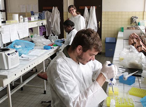 Ryan Boyko doing DNA analysis in a lab